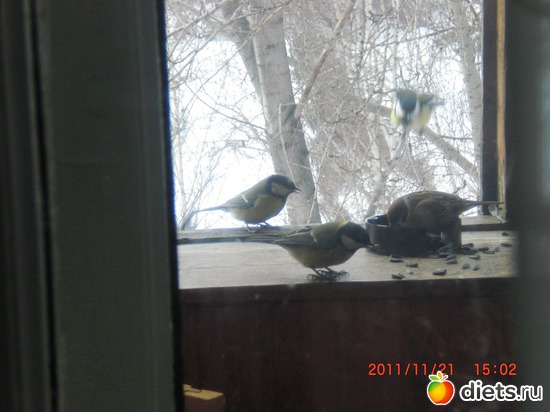 11 фото: разное-интересное)