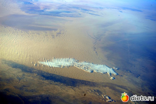 1 ����: ��� ������, ������� � ������������� ����� .