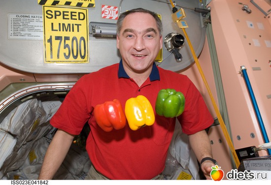 6 ����: ��� ������, ������� � ������������� ����� .