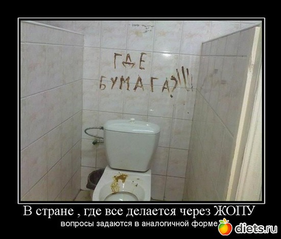 12 ����: ������������