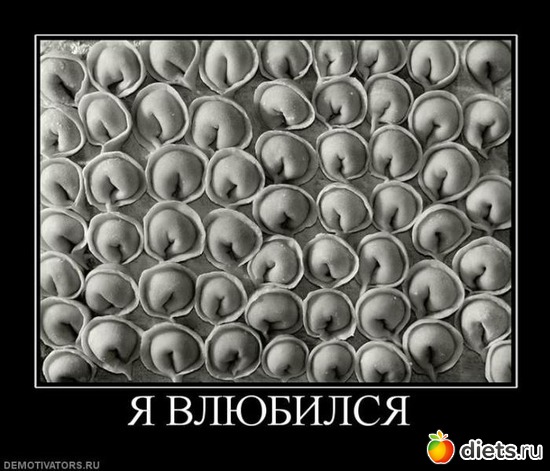 14 ����: ������������