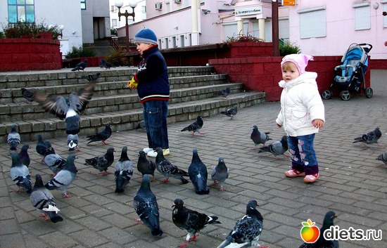 4 ����: ��� ������