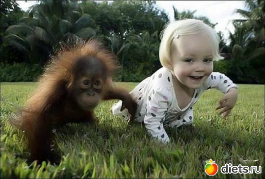 ����-����� �����