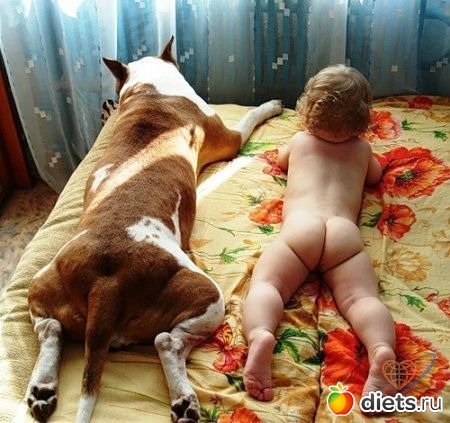 ����-����� �����