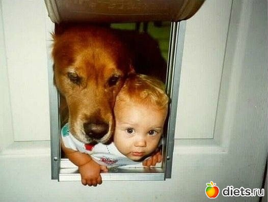 ����-����� �����