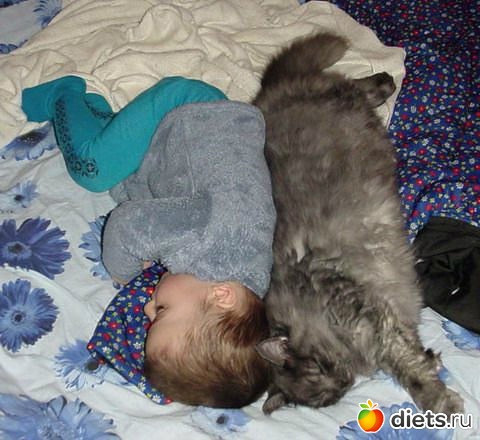 ����-����� �����