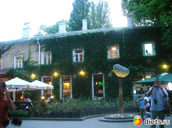 6 ����: ������