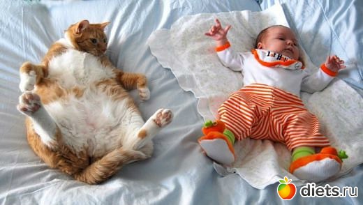 ����-����� �����