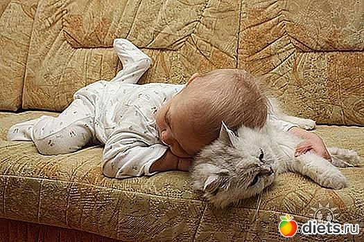 ����-����� �����