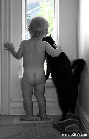 ����-����� �����