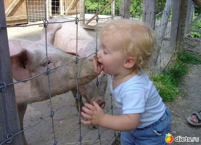 68 ����: ����-����� �����