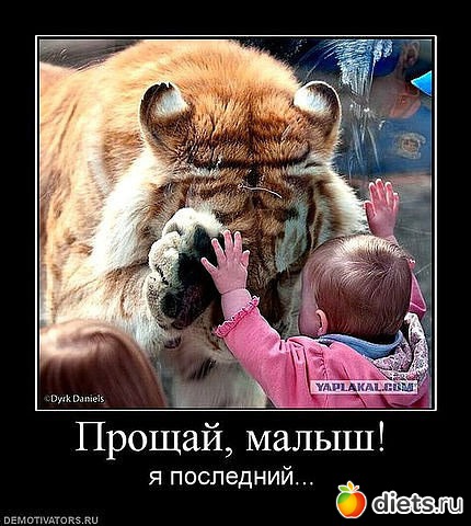 ����-����� �����