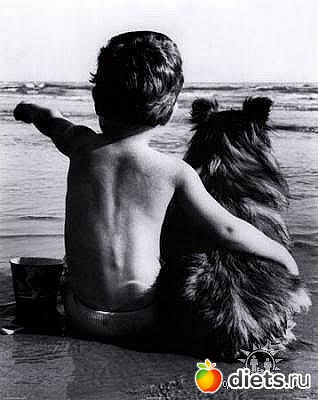 ����-����� �����