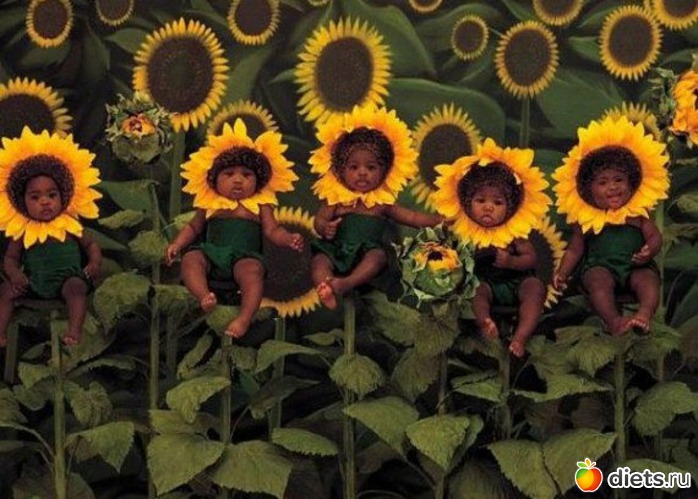 81 ����: ����-����� �����