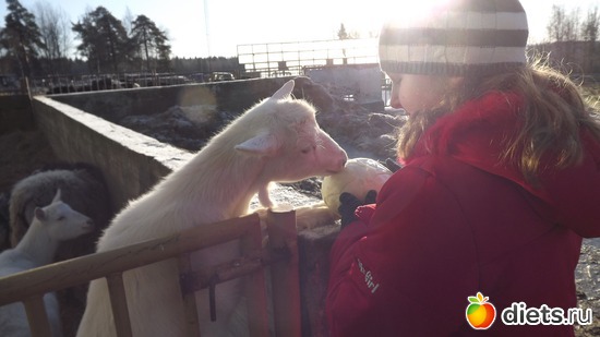 ��� ������, ������: ��� ����.