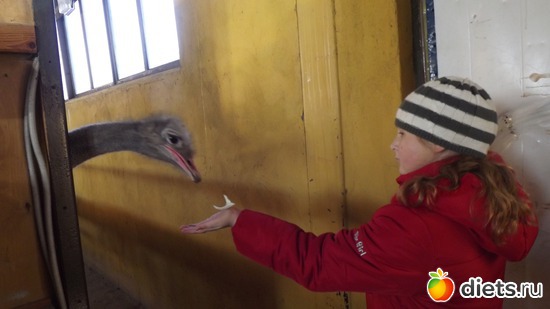 5 ����: ��� ����.