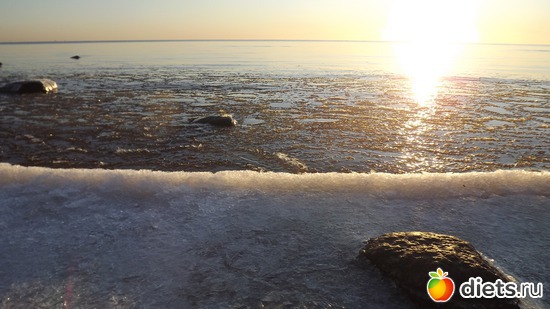 10 ����: ��� ����.