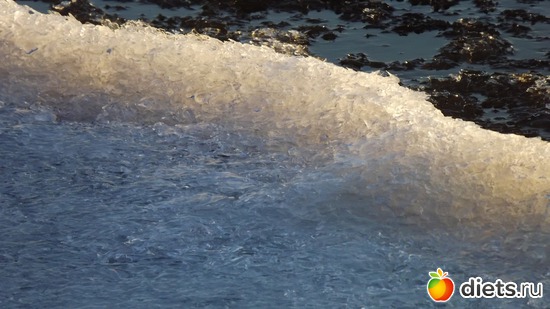 11 ����: ��� ����.