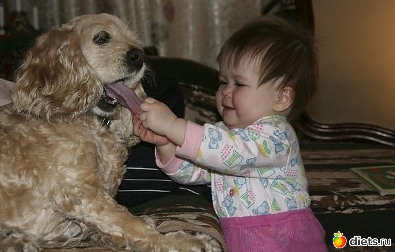 84 ����: ����-����� �����