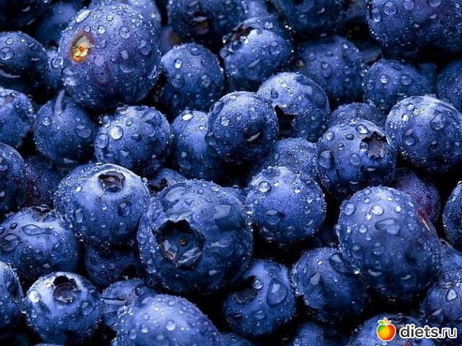 13 ����: ���