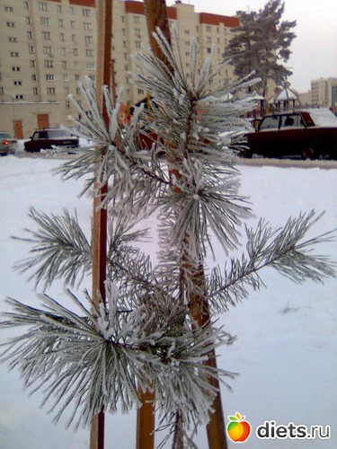 31 фото: Мой любимый город