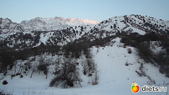 4 фото: Наши горы