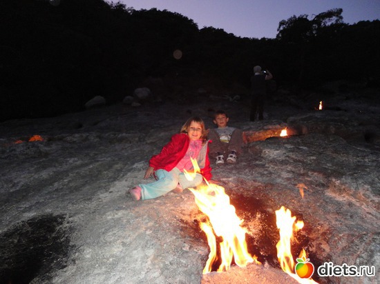 29 ����: ��� ������� �������� ������� ������