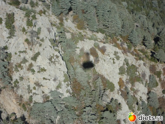 это тень от вагончика подъемки), альбом: Жизнь в Кемере