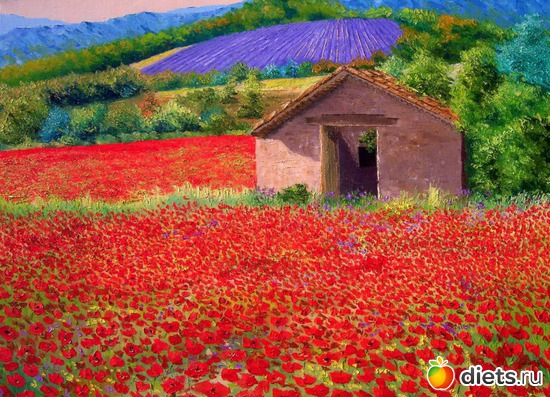 19 фото: Jean-Marc Janiaczyk.