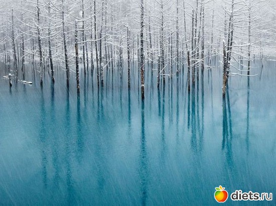 26 ����: ������ �������� ��������