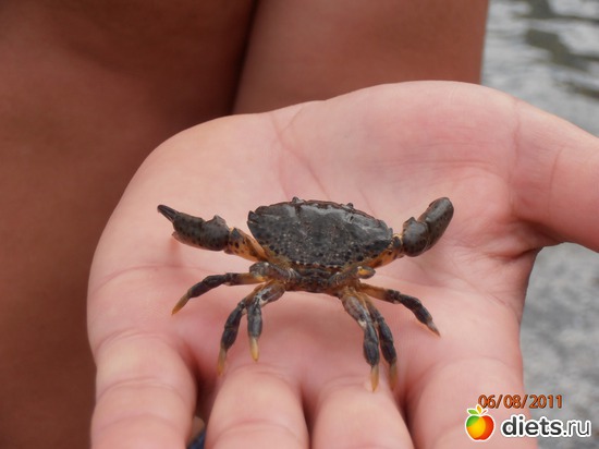 ������� ������� ��� �� �� �����.., ������: ����������:����-��� �������!!!