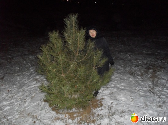 1 ����: ����� ����