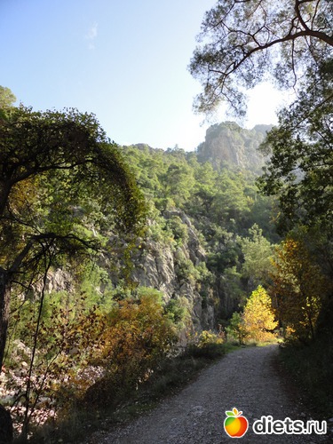 Гейнюкский каньон, альбом: Жизнь в Кемере