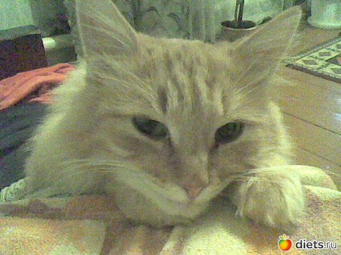 1 ����: ������