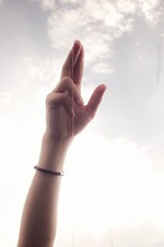 Ну-с! Начнем пожалуй!!! Начнем расти в высь!!!