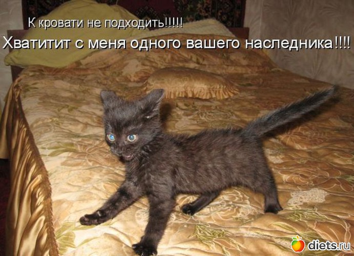 14 ����: ����