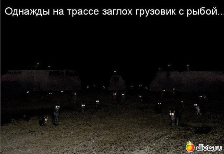 15 ����: ����