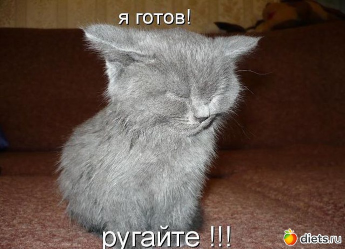 16 ����: ����