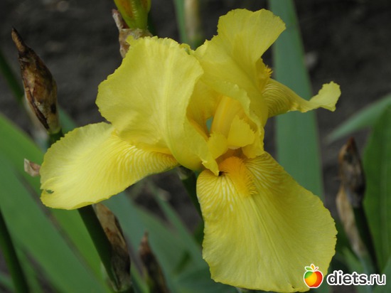 1 ����: ��� ����