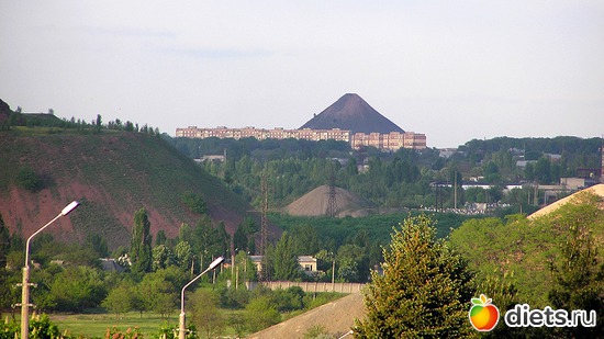 6 ����: ��� ������ ������