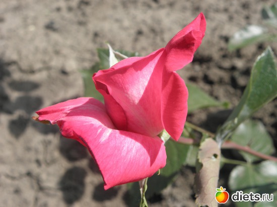 3 ����: ��� ����