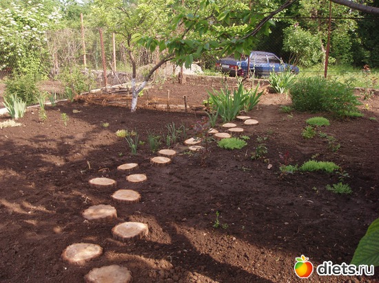 5 ����: ��� ����