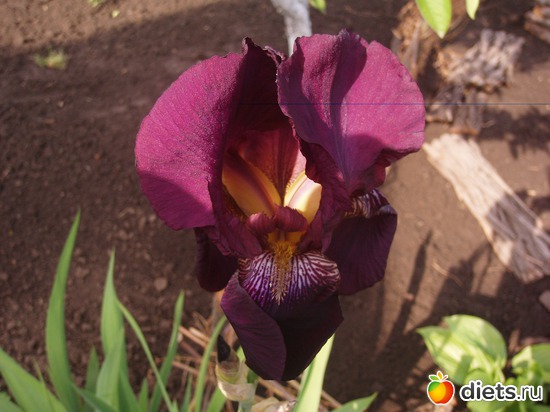 6 ����: ��� ����