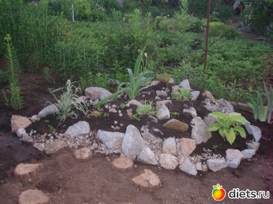 7 ����: ��� ����