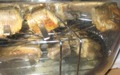 3). рыбный шашалык в Аэрогриле