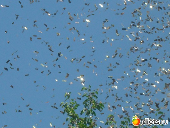 �����., ������: ���� �������������..