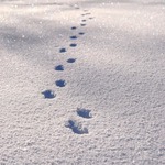 VI глава "How to save a life". Заключительная