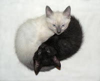 просто картинки