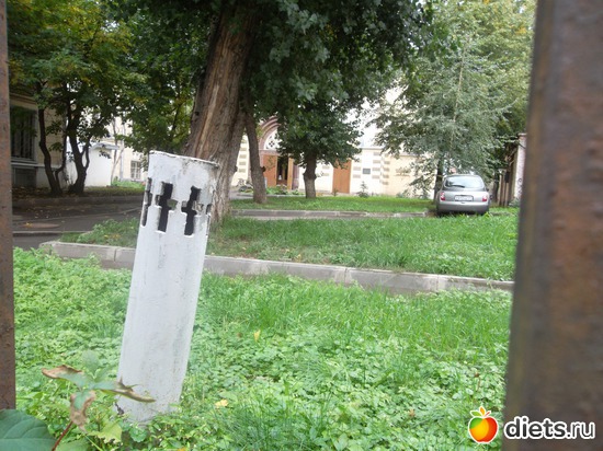 64 ����: ������ 2011