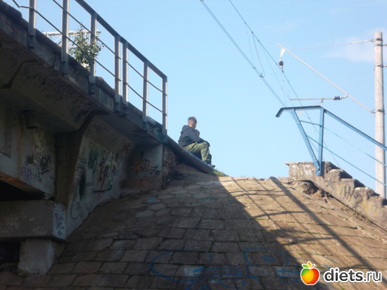 3 ����: ������ 2011